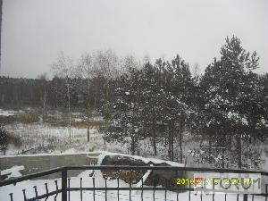 Działki, Silno, Na sprzedaż